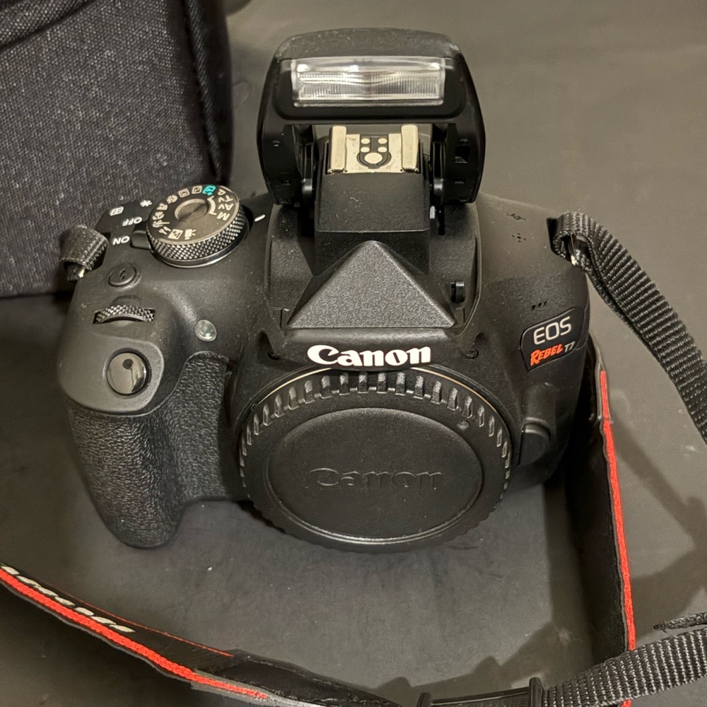 Canon Rebel T7 EOS Body - Picture 5 of 5